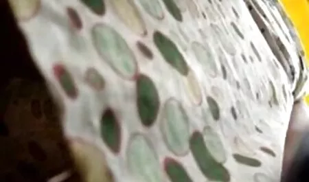 Analitetno lijevanje latino nimfe ada sanchez web gratis porno