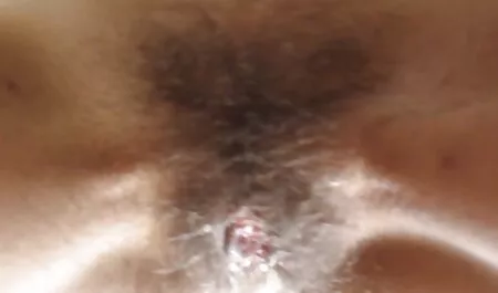 Casey ga voli svugdje gratisporno film