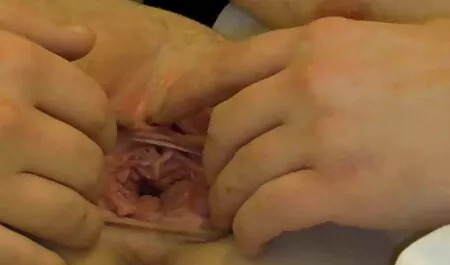 Melanie gratis porn film Filipino amaterke voli grubo seks